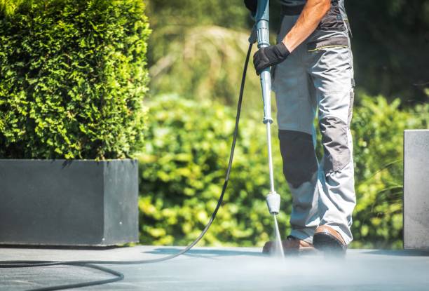 Best House Exterior Washing  in Kewanee, IL