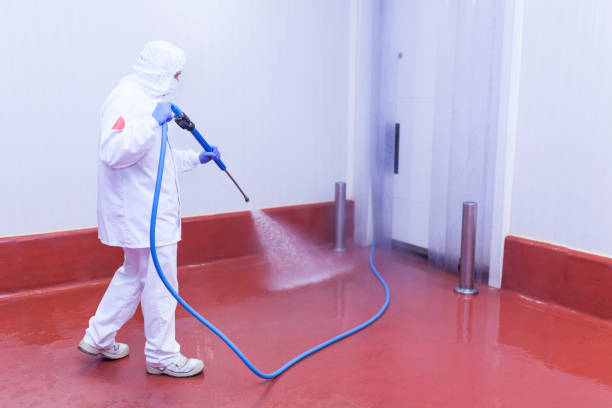 Best Graffiti Removal  in Kewanee, IL